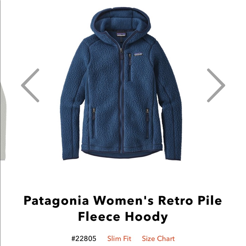 Patagonia retro pile hoody